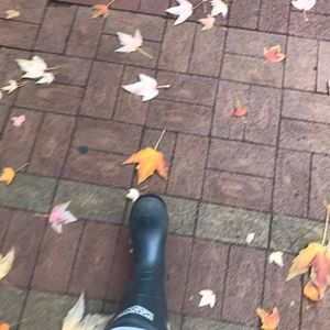 Meet your Posher, Darlene